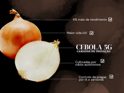 Cebola 5G é o projeto que demonstra o potencial das redes 5G na agricultura